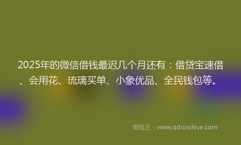 2025年的微信借钱最迟几个月还有：借贷宝速借、会用花、琉璃买单、小象优品、全民钱包等。