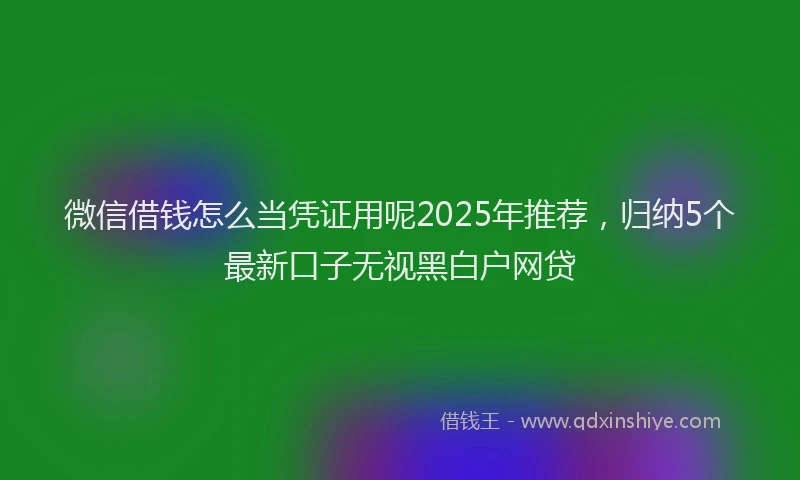 微信借钱怎么当凭证用呢2025年推荐，归纳5个最新口子无视黑白户网贷