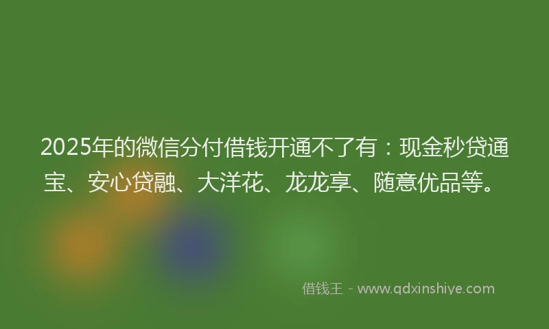2025年的微信分付借钱开通不了有：现金秒贷通宝、安心贷融、大洋花、龙龙享、随意优品等。