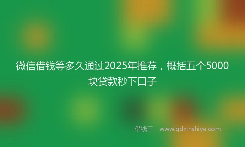 微信借钱等多久通过2025年推荐，概括五个5000块贷款秒下口子