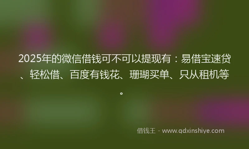 2025年的微信借钱可不可以提现有：易借宝速贷、轻松借、百度有钱花、珊瑚买单、只从租机等。