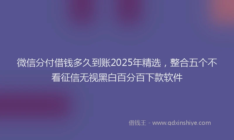 微信分付借钱多久到账2025年精选，整合五个不看征信无视黑白百分百下款软件