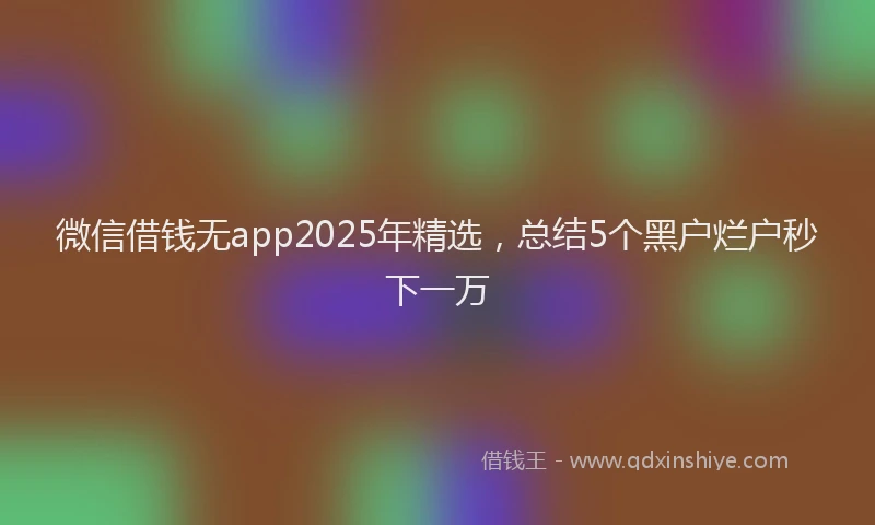 微信借钱无app2025年精选，总结5个黑户烂户秒下一万
