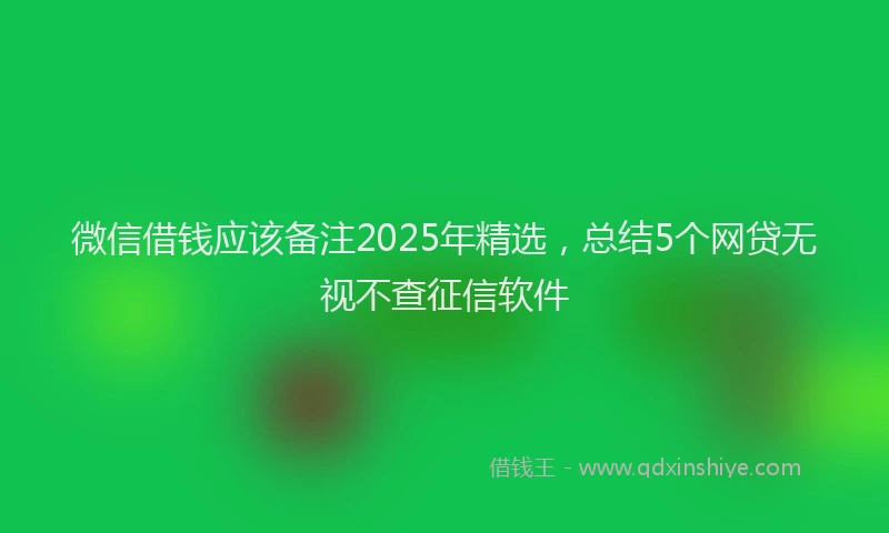 微信借钱应该备注2025年精选，总结5个网贷无视不查征信软件