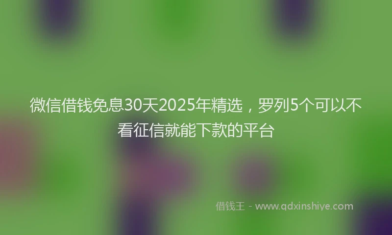 微信借钱免息30天2025年精选，罗列5个可以不看征信就能下款的平台