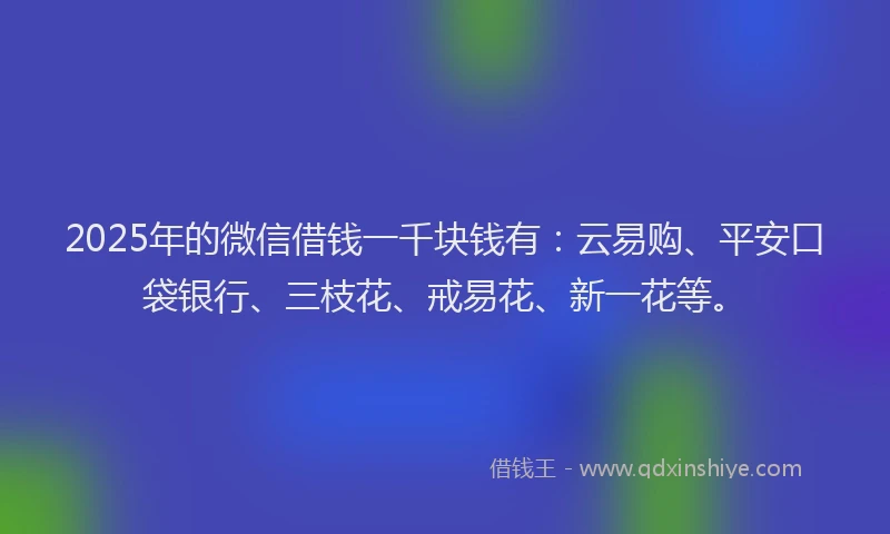 2025年的微信借钱一千块钱有：云易购、平安口袋银行、三枝花、戒易花、新一花等。