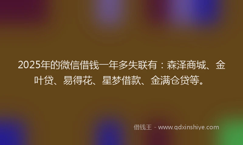2025年的微信借钱一年多失联有：森泽商城、金叶贷、易得花、星梦借款、金满仓贷等。