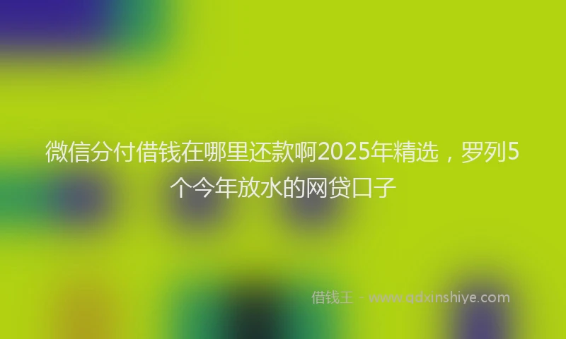 微信分付借钱在哪里还款啊2025年精选，罗列5个今年放水的网贷口子