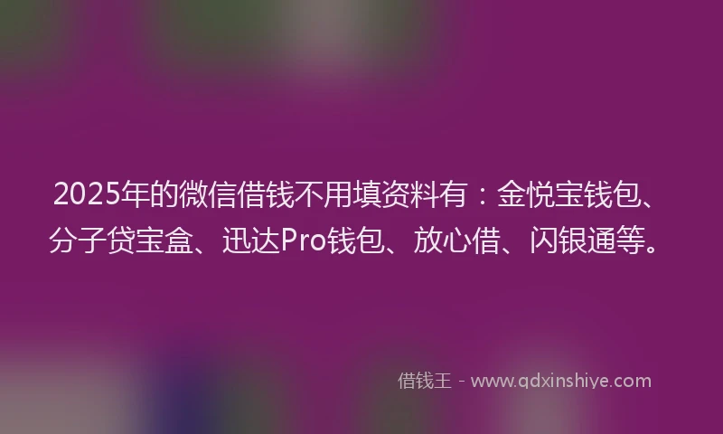 2025年的微信借钱不用填资料有：金悦宝钱包、分子贷宝盒、迅达Pro钱包、放心借、闪银通等。