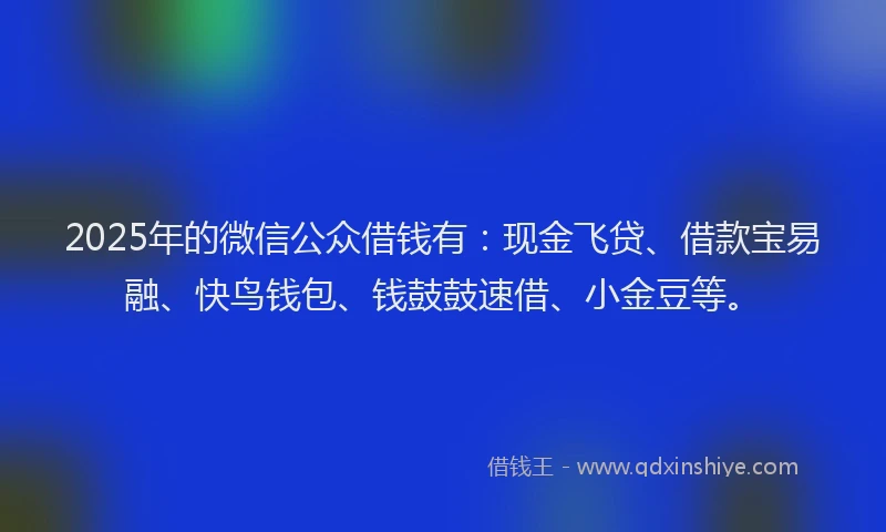 2025年的微信公众借钱有：现金飞贷、借款宝易融、快鸟钱包、钱鼓鼓速借、小金豆等。