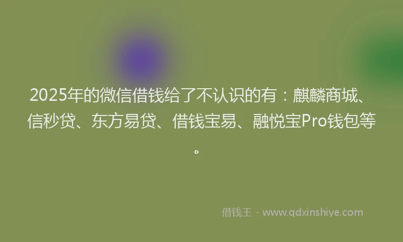 2025年的微信借钱给了不认识的有：麒麟商城、信秒贷、东方易贷、借钱宝易、融悦宝Pro钱包等。