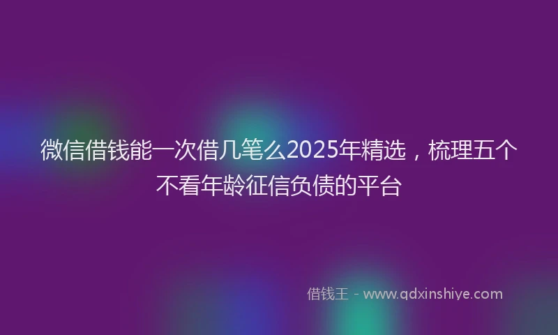 微信借钱能一次借几笔么2025年精选，梳理五个不看年龄征信负债的平台
