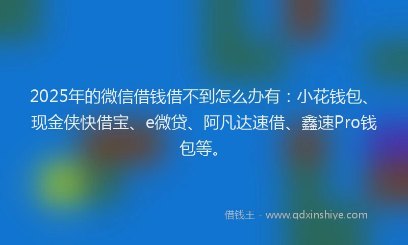 2025年的微信借钱借不到怎么办有：小花钱包、现金侠快借宝、e微贷、阿凡达速借、鑫速Pro钱包等。