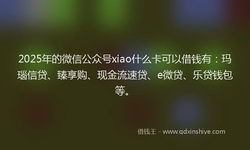 2025年的微信公众号xiao什么卡可以借钱有：玛瑙信贷、臻享购、现金流速贷、e微贷、乐贷钱包等。