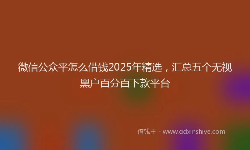 微信公众平怎么借钱2025年精选，汇总五个无视黑户百分百下款平台