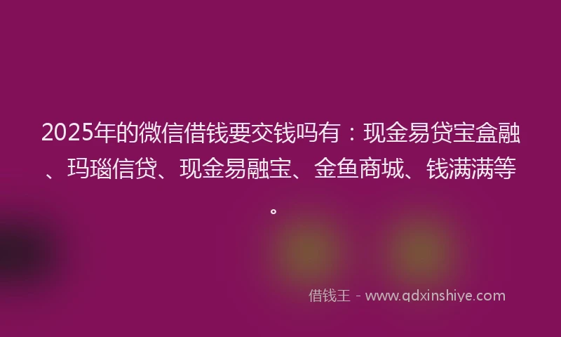 2025年的微信借钱要交钱吗有：现金易贷宝盒融、玛瑙信贷、现金易融宝、金鱼商城、钱满满等。