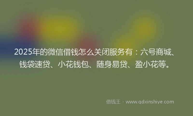 2025年的微信借钱怎么关闭服务有：六号商城、钱袋速贷、小花钱包、随身易贷、盈小花等。