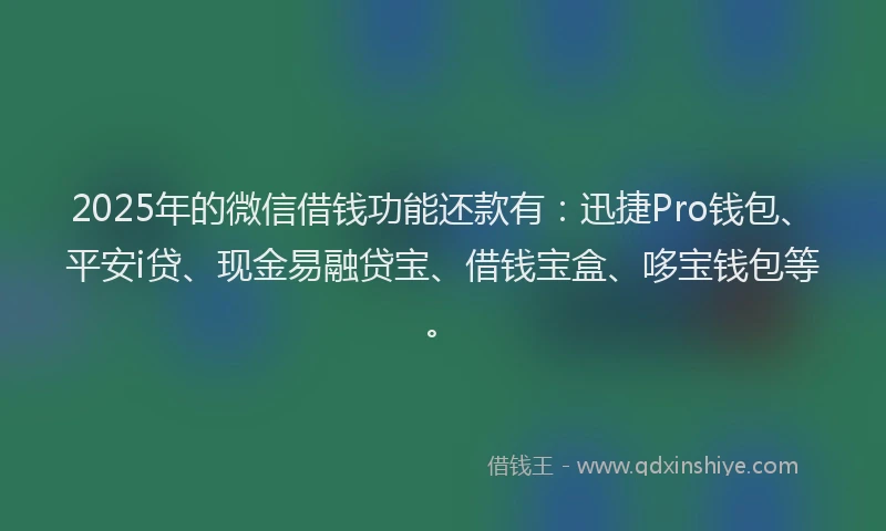 2025年的微信借钱功能还款有：迅捷Pro钱包、平安i贷、现金易融贷宝、借钱宝盒、哆宝钱包等。