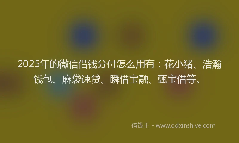 2025年的微信借钱分付怎么用有：花小猪、浩瀚钱包、麻袋速贷、瞬借宝融、甄宝借等。