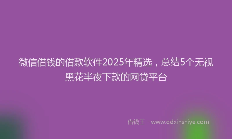 微信借钱的借款软件2025年精选，总结5个无视黑花半夜下款的网贷平台