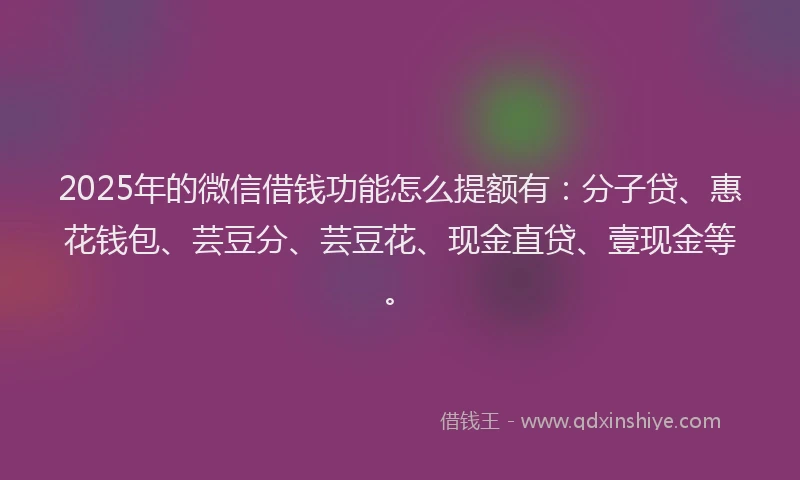 2025年的微信借钱功能怎么提额有：分子贷、惠花钱包、芸豆分、芸豆花、现金直贷、壹现金等。
