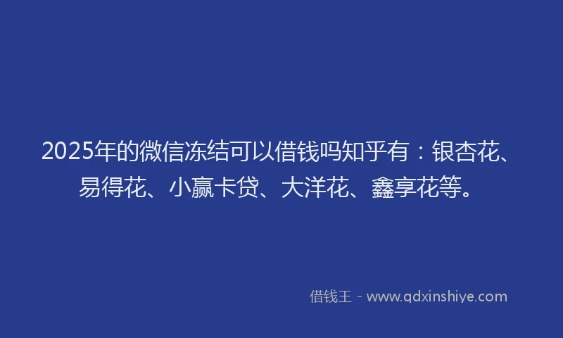 2025年的微信冻结可以借钱吗知乎有：银杏花、易得花、小赢卡贷、大洋花、鑫享花等。