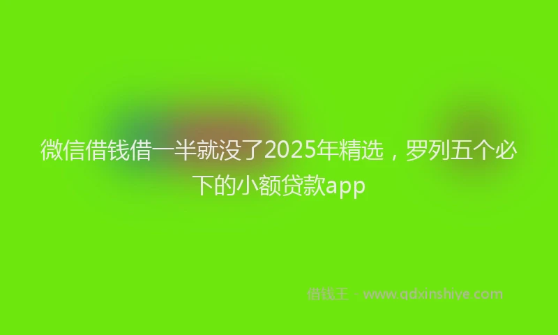 微信借钱借一半就没了2025年精选，罗列五个必下的小额贷款app