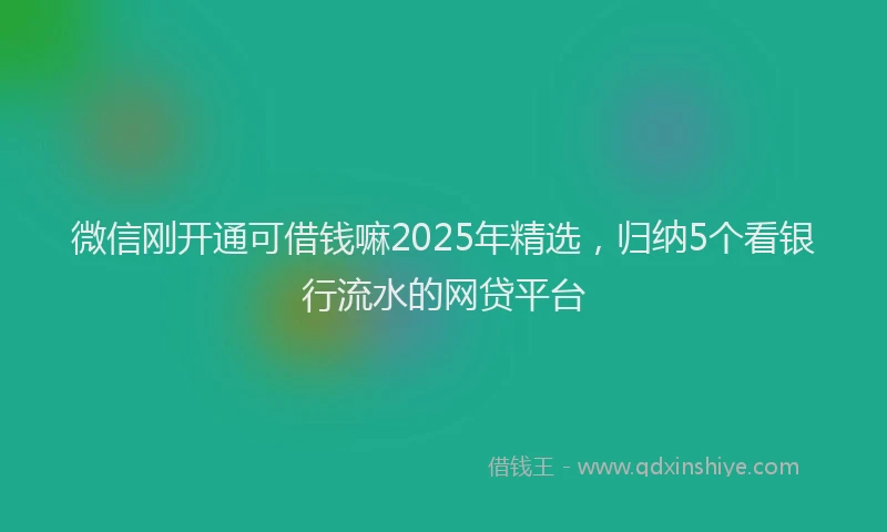 微信刚开通可借钱嘛2025年精选，归纳5个看银行流水的网贷平台