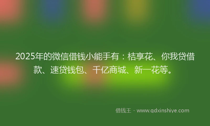 2025年的微信借钱小能手有：桔享花、你我贷借款、速贷钱包、千亿商城、新一花等。