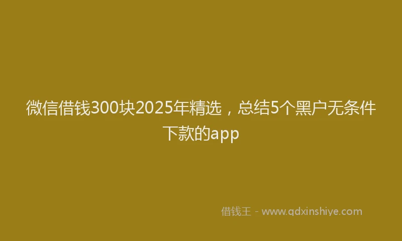 微信借钱300块2025年精选，总结5个黑户无条件下款的app