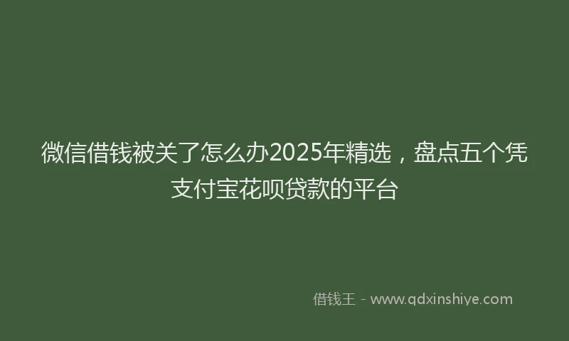 微信借钱被关了怎么办2025年精选，盘点五个凭支付宝花呗贷款的平台