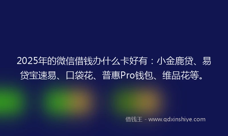 2025年的微信借钱办什么卡好有：小金鹿贷、易贷宝速易、口袋花、普惠Pro钱包、维品花等。