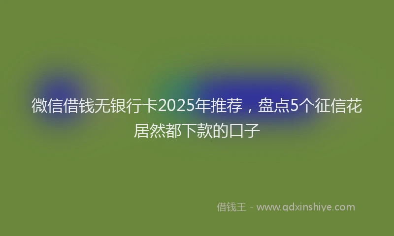 微信借钱无银行卡2025年推荐，盘点5个征信花居然都下款的口子