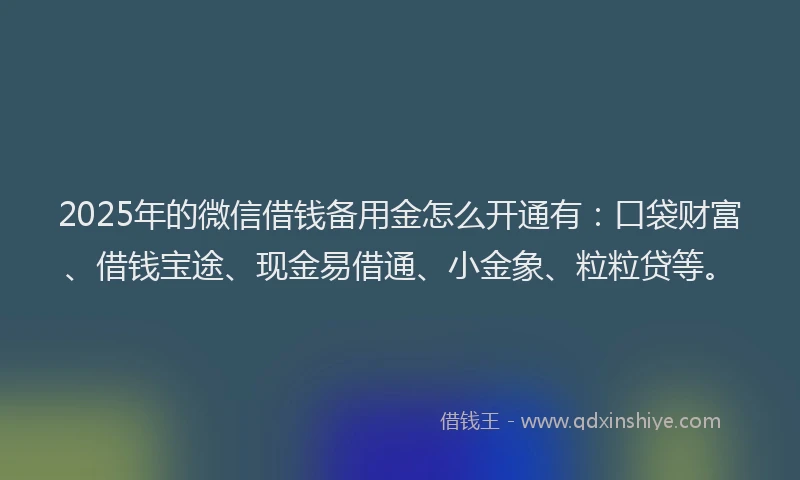 2025年的微信借钱备用金怎么开通有：口袋财富、借钱宝途、现金易借通、小金象、粒粒贷等。