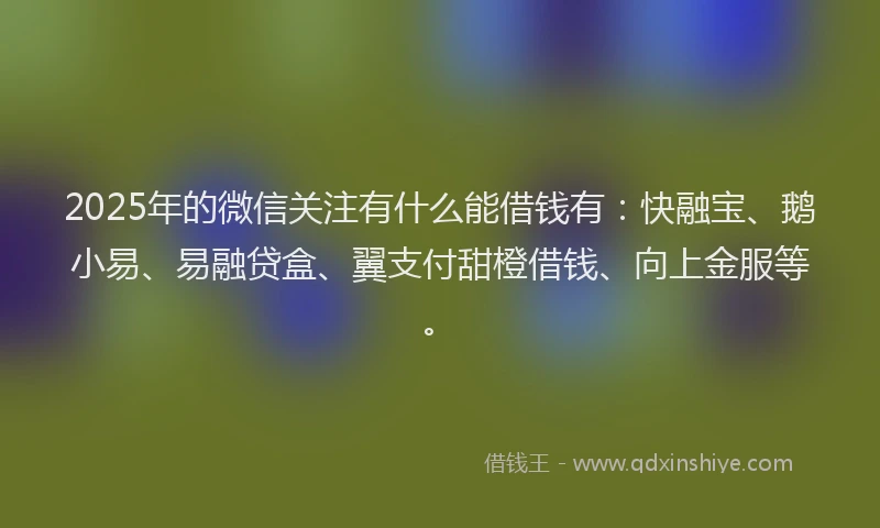 2025年的微信关注有什么能借钱有：快融宝、鹅小易、易融贷盒、翼支付甜橙借钱、向上金服等。