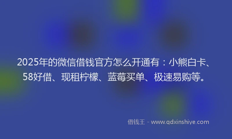2025年的微信借钱官方怎么开通有：小熊白卡、58好借、现租柠檬、蓝莓买单、极速易购等。