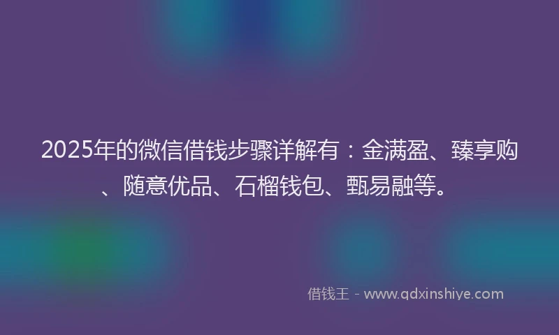 2025年的微信借钱步骤详解有：金满盈、臻享购、随意优品、石榴钱包、甄易融等。