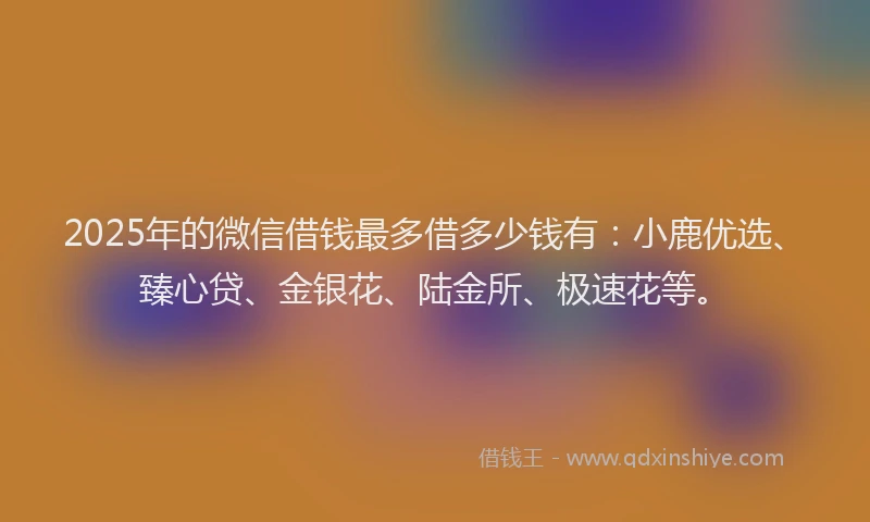 2025年的微信借钱最多借多少钱有：小鹿优选、臻心贷、金银花、陆金所、极速花等。