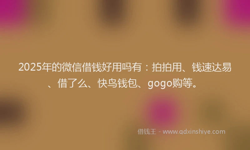 2025年的微信借钱好用吗有：拍拍用、钱速达易、借了么、快鸟钱包、gogo购等。
