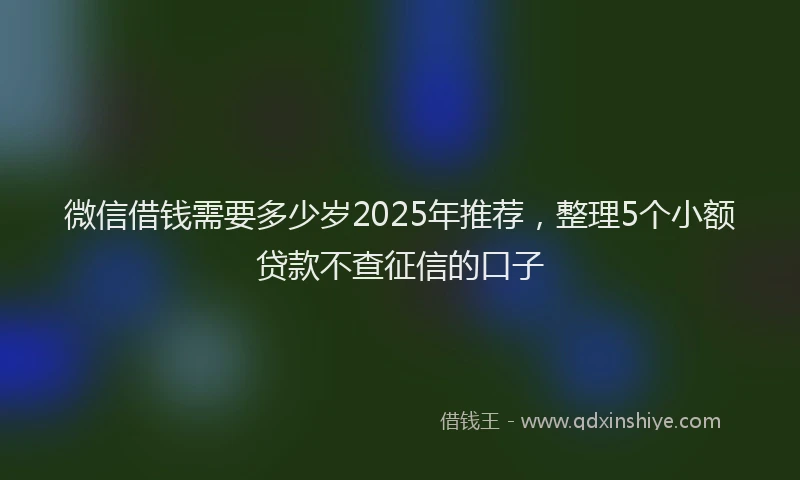 微信借钱需要多少岁2025年推荐，整理5个小额贷款不查征信的口子