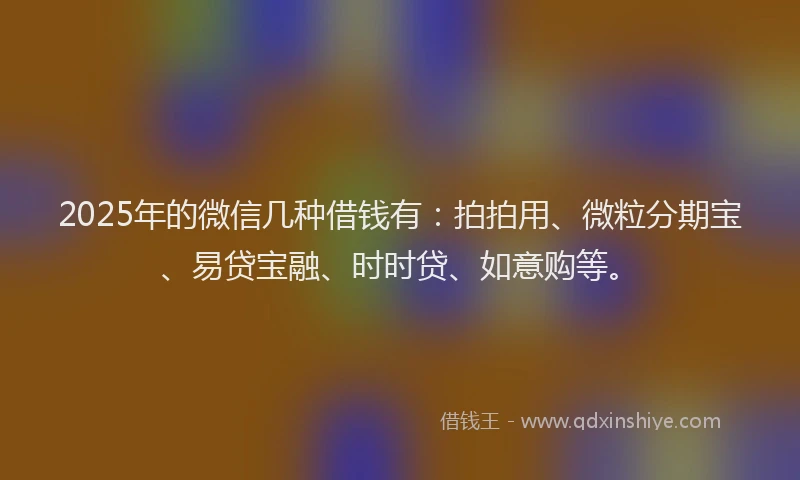 2025年的微信几种借钱有：拍拍用、微粒分期宝、易贷宝融、时时贷、如意购等。