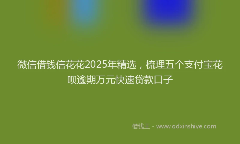 微信借钱信花花2025年精选，梳理五个支付宝花呗逾期万元快速贷款口子