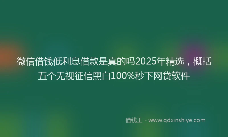 微信借钱低利息借款是真的吗2025年精选，概括五个无视征信黑白100%秒下网贷软件