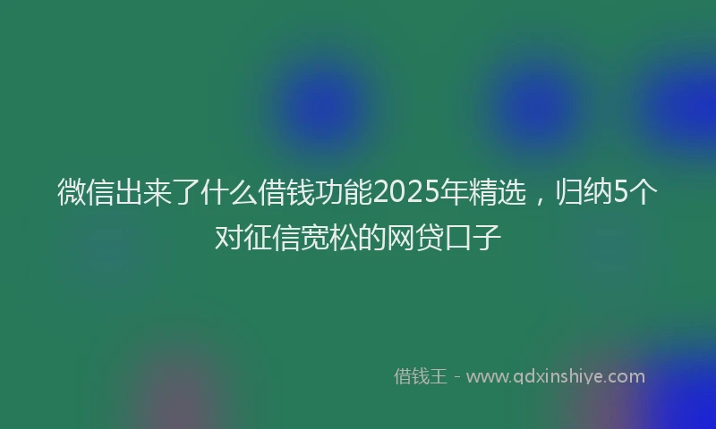 微信出来了什么借钱功能2025年精选，归纳5个对征信宽松的网贷口子
