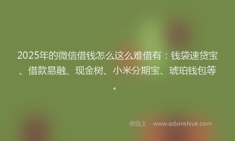2025年的微信借钱怎么这么难借有：钱袋速贷宝、借款易融、现金树、小米分期宝、琥珀钱包等。