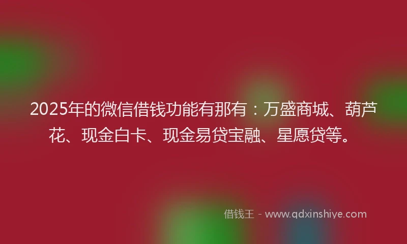 2025年的微信借钱功能有那有：万盛商城、葫芦花、现金白卡、现金易贷宝融、星愿贷等。