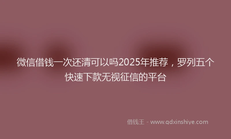 微信借钱一次还清可以吗2025年推荐，罗列五个快速下款无视征信的平台