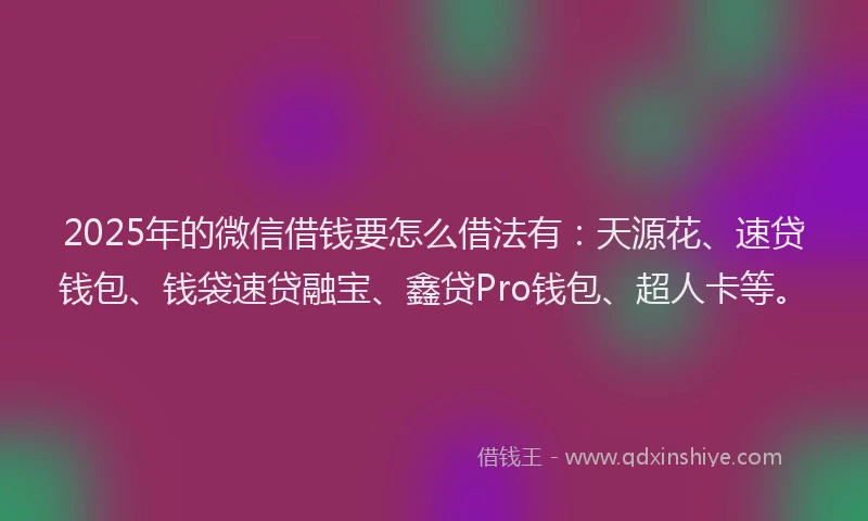 2025年的微信借钱要怎么借法有：天源花、速贷钱包、钱袋速贷融宝、鑫贷Pro钱包、超人卡等。