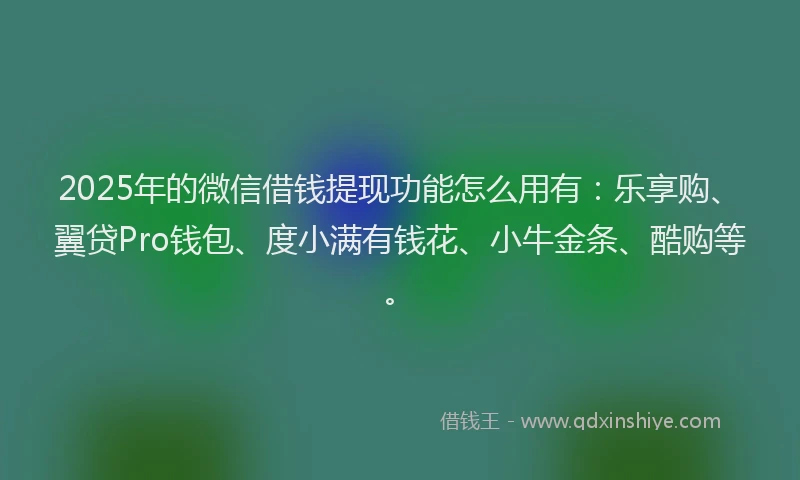2025年的微信借钱提现功能怎么用有：乐享购、翼贷Pro钱包、度小满有钱花、小牛金条、酷购等。