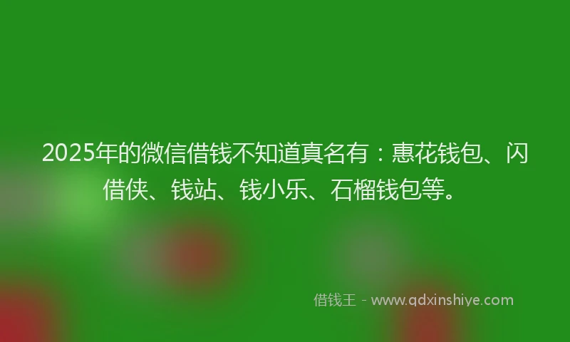 2025年的微信借钱不知道真名有：惠花钱包、闪借侠、钱站、钱小乐、石榴钱包等。